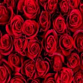 Rosas