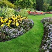Jardín