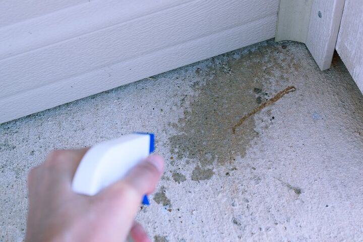 spray casero para cucarachas tambin es bueno para las hormigas y otros bichos