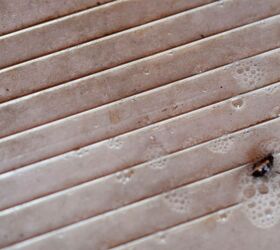 spray casero para cucarachas tambin es bueno para las hormigas y otros bichos