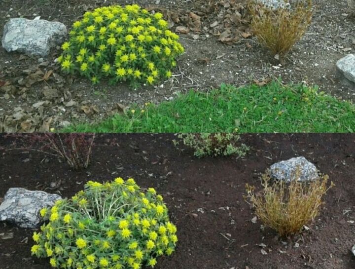completo ou no essa a grande questo da jardinagem, Antes e depois da aplica o do solo