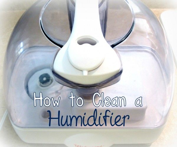 evite la proliferacin de bacterias con estos sencillos pasos para limpiar un, C mo limpiar un humidificador Anna M