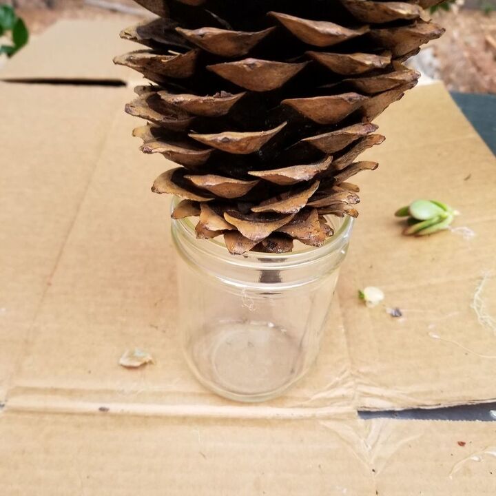 decoracin con suculentas de invierno, Decoraci n de conos de pino DIY