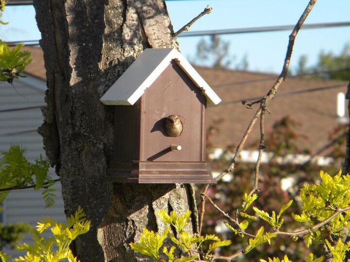 fcil diy poste de la cerca birdhouse