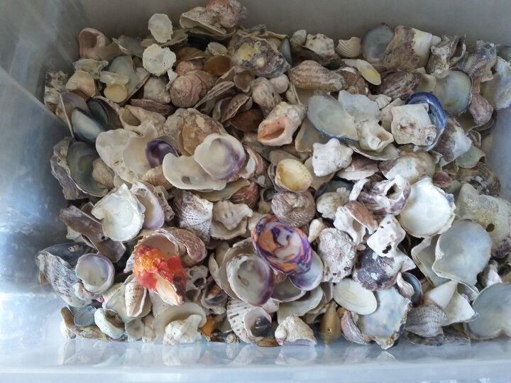 tcnica de aplicacin del mosaico de conchas marinas