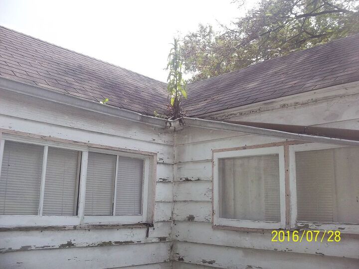 q vale esta casa mi tiempo y mi dinero, Los canalones alrededor de la casa est n ca dos o simplemente faltan Esto deber a ser bastante f cil de arreglar