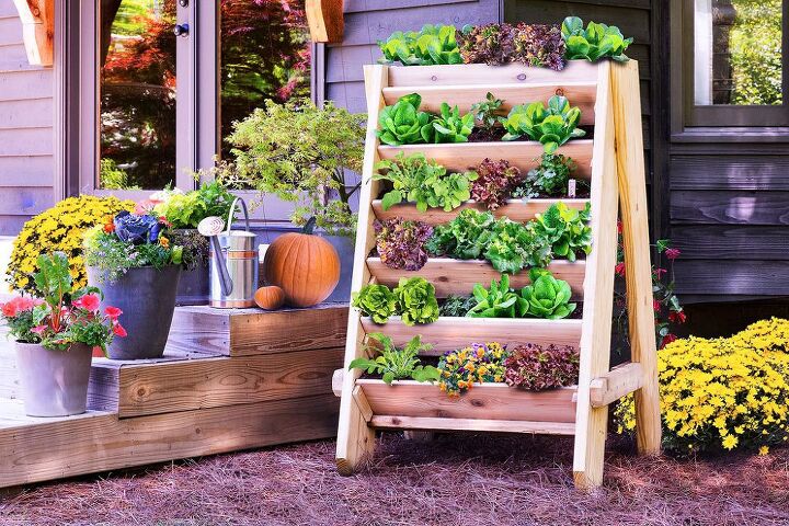 q que verduras crecerian bien en un jardin vertical