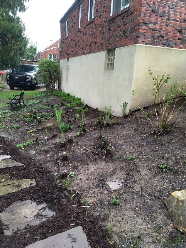 q que hacer con un jardin de sombra ahora que se ha cortado el arbol