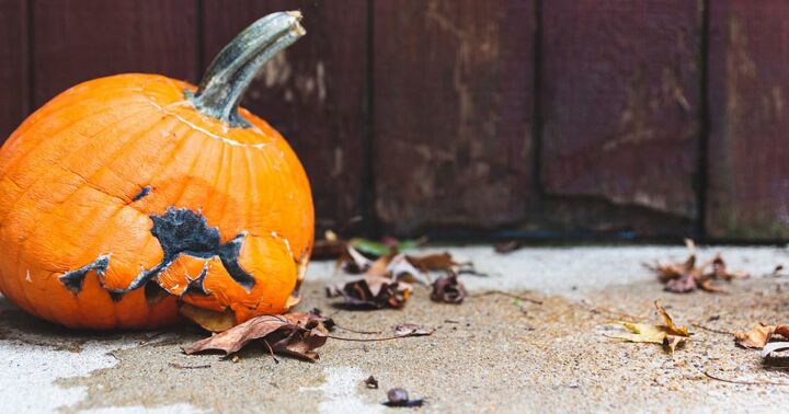q como puedo alargar la vida util de una calabaza sin tallar